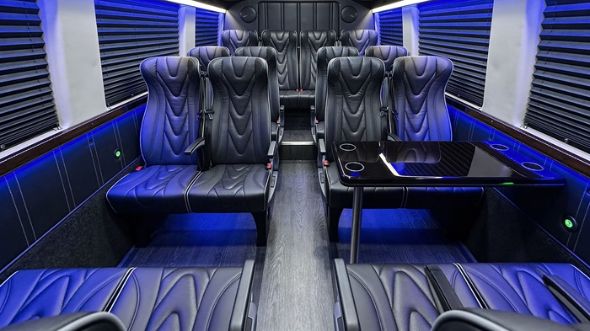 20 passenger sprinter van interior buffalo