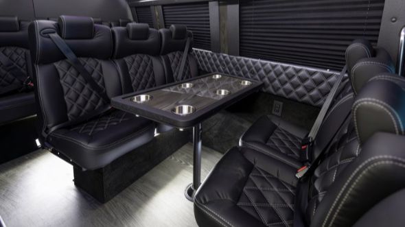 buffalo 10 passenger sprinter van interior
