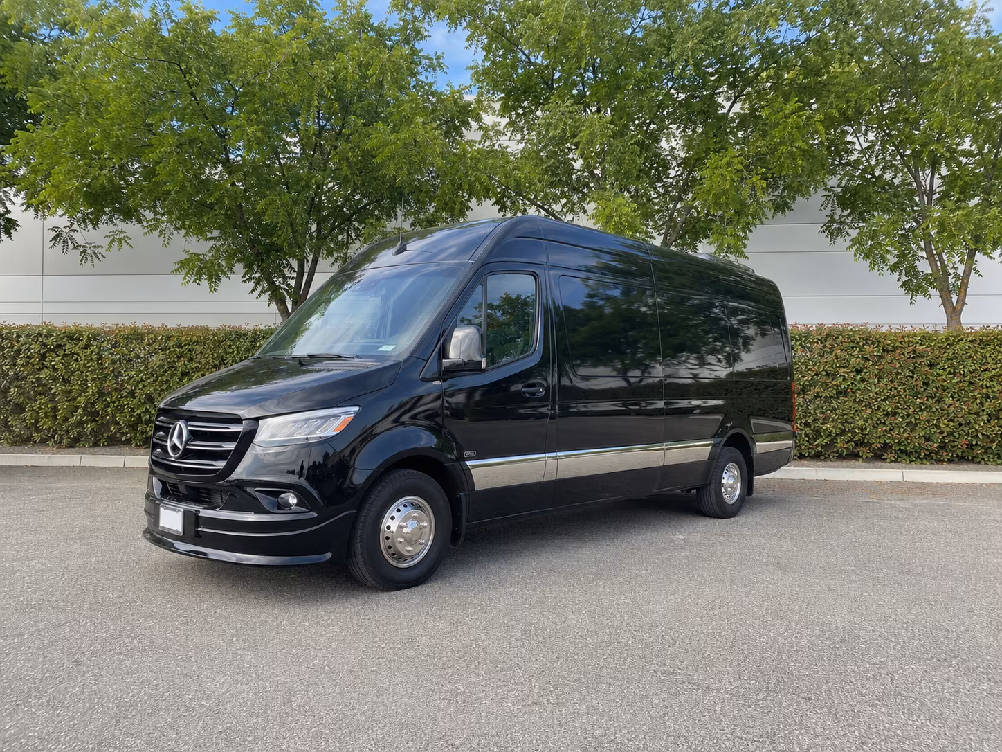 buffalo 10 passenger sprinter van
