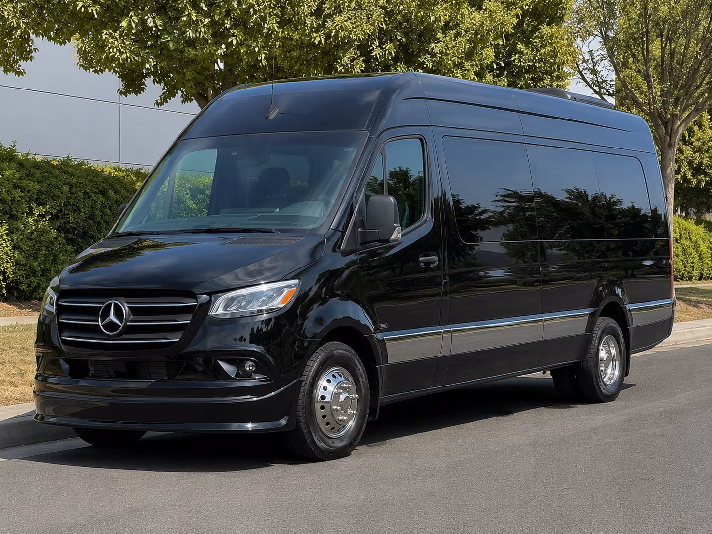 buffalo 12 passenger sprinter van