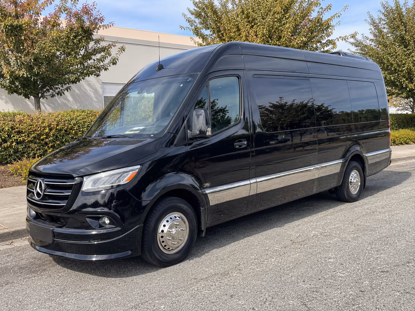 buffalo 15 passenger sprinter van