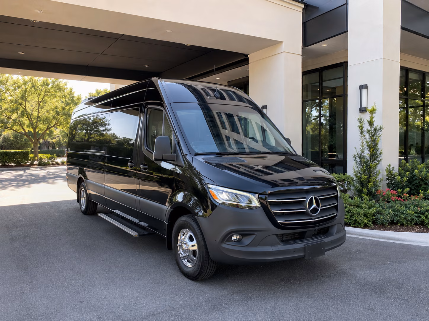 buffalo 18 passenger sprinter van