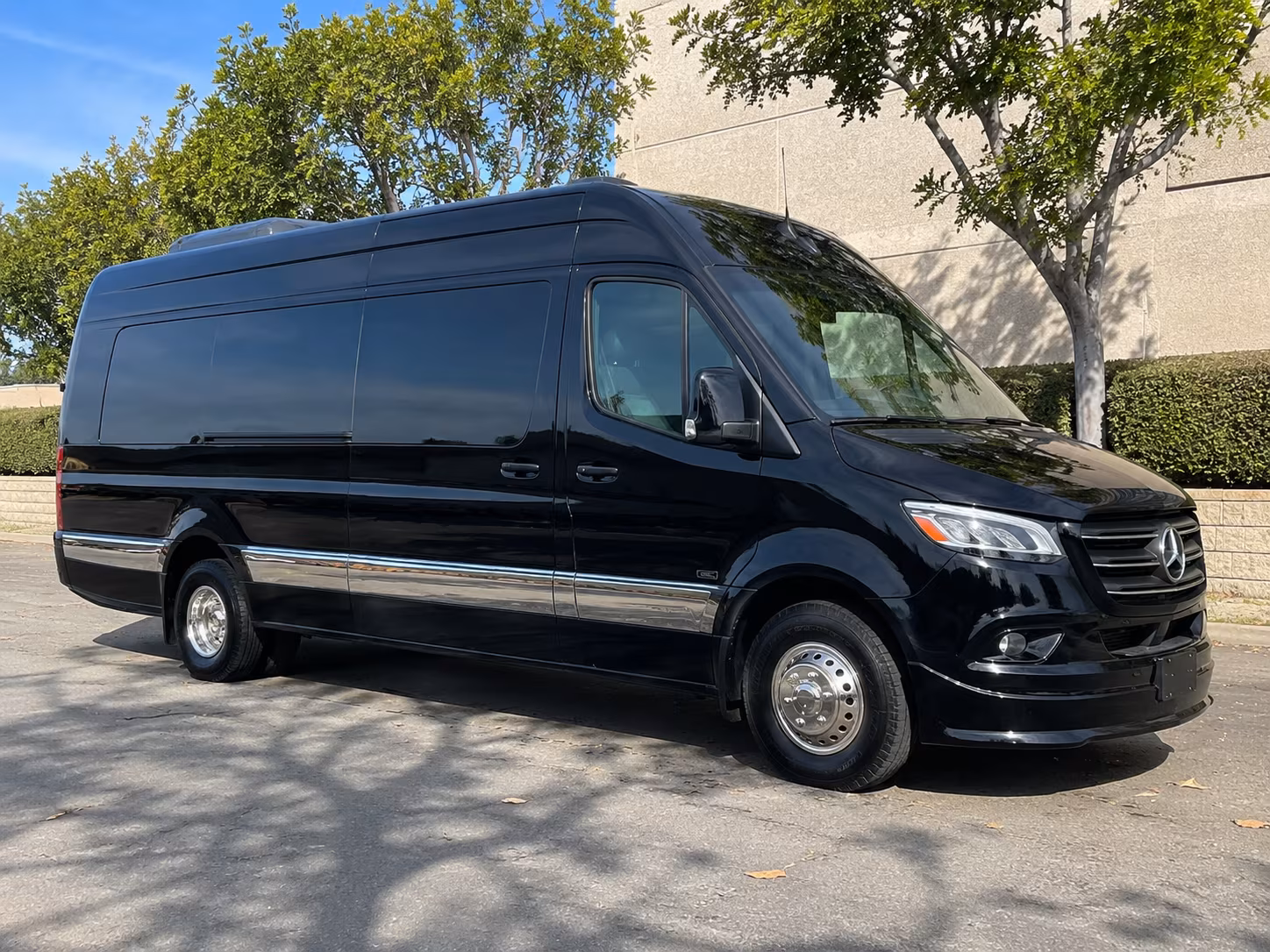 buffalo birthday sprinter van rental