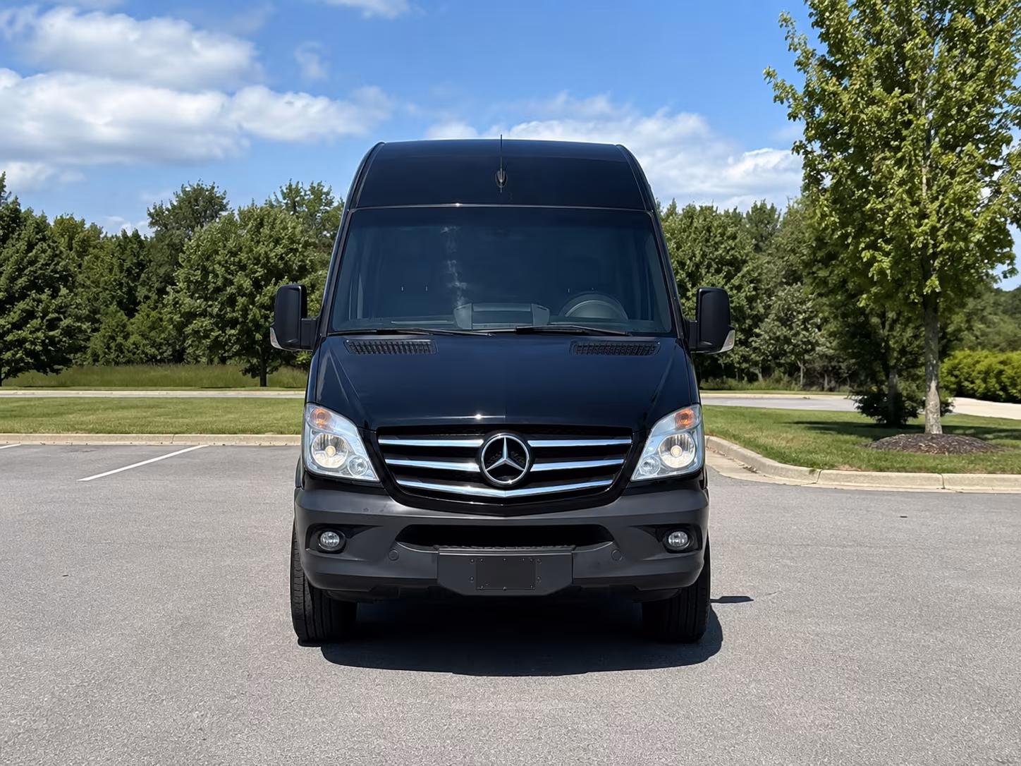 buffalo sprinter limousine